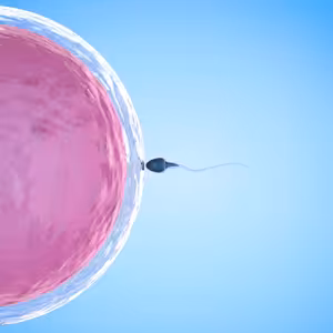 #31 SPECIÁL: Reprodukční medicína - rozdílné typy stimulace