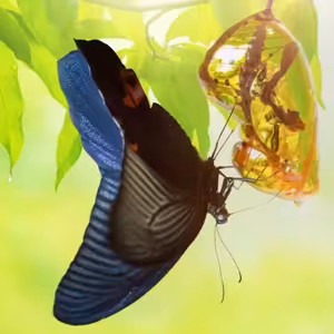 Služby Božie 10. 10. 2024 | Zmeny potrebné a nepotrebné