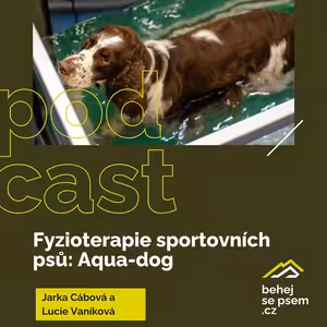 Fyzioterapie sportovních psů: Aqua-dog | Jarka Cábová a Lucie Vaníková