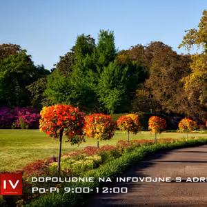 Dopoludnie na Infovojne s Adrianom 30.5.2024