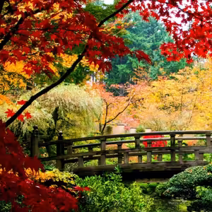 Dopoludnie na Infovojne s Adrianom 2.4.2026