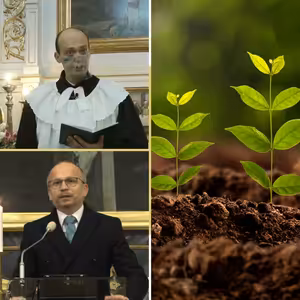 Služby Božie 15. 11. 2020 | Trvalo udržateľný rast viery