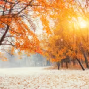 HOROSKOPY: Panna, pozornost věnujte protějšku. Chybí mu vaše náklonnost, bojí se to říct