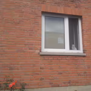 Lovná literatura.. až do oušek!