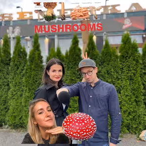 Podpultovky: O houbaření a anonymním režimu