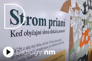 Stromy prianí ako prevencia duševných porúch. Ako sa im darí po mesiacoch od ich uvedenia? (podcast)