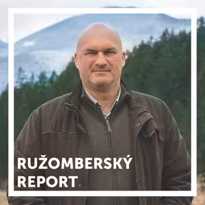 O starostlivosti o les, lesnú zver a o ťažbe dreva v ružomberských lesoch