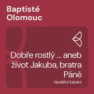 Dobře rostlý ... aneb život Jakuba, bratra Páně (6.11.2022)