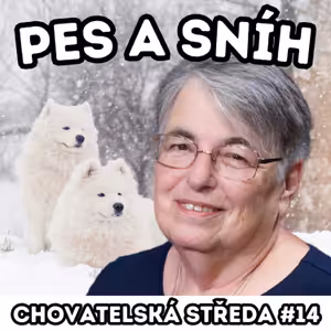 🐶 PES a SNÍH 🐶 | Chovatelská středa #14