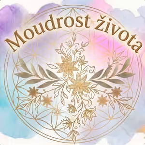 Meditace na regulaci nervového systému