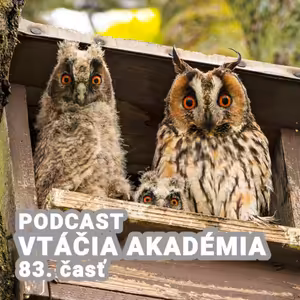 Predstavte si, že by ste mali schopnosť zmenšiť si na istý čas telesný orgán. Ktorý by to bol?
