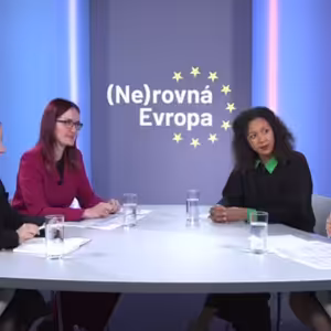Česko se evropským závazkům vyhýbá, ale bez nich by změna nepřišla, tvrdí političky