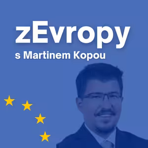 Unijní prvek pohledem soudce