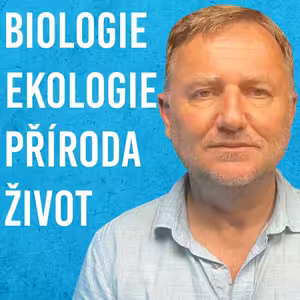 David Storch: Antropocén, Biodiverzita, Holocén, Lidstvo