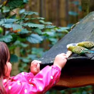 Žijme ve smíru s celým tvorstvem skrze život v Ježíši Kristu