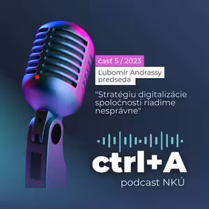 Informatizácia (Ľubomír Andrassy, predseda NKÚ SR)