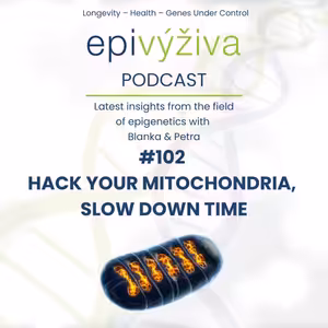 #102 HACK YOUR MITOCHONDRIA, SLOW DOWN TIME [ENGLISH] / epigenetics, rate of aging, ATP, longevity, plastoquinone, microbiome, red light