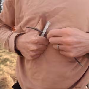 #07: Duben, měsíc roubování