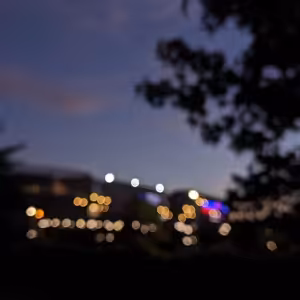 Lights in the Darkness