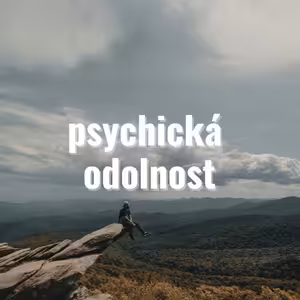 Psychická odolnost