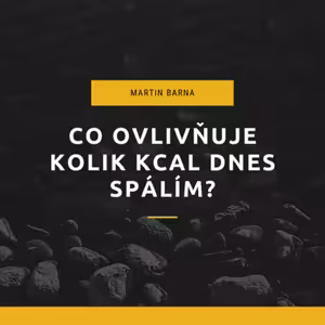 Podcast - Co ovlivňuje kolik kcal dnes spálím?
