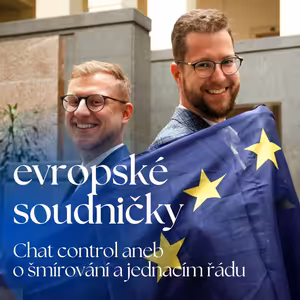 Chat control aneb o šmírování a jednacím řádu