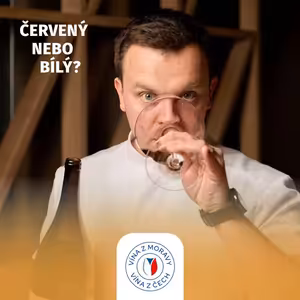 046: Zdeněk Oudes o cestě k Michelin Sommelier Award a síle lokálních vín