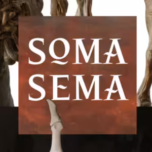 SOMA SEMA, rozhovor s kurátorem Ivanem Neumannem a sochařem Kryštofem Hoškem