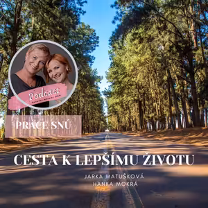 CESTA K LEPŠÍMU ŽIVOTU - PRÁCE SNŮ