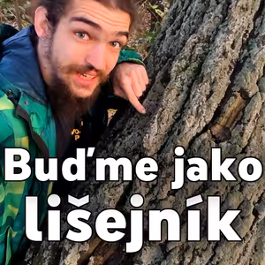 Buďme jako lišejník