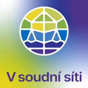 V soudní síti