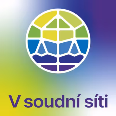 V soudní síti