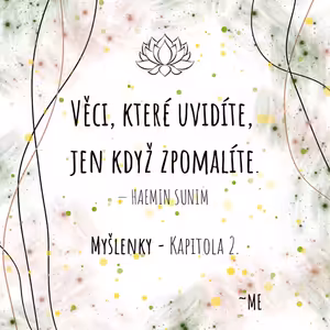 MY~ŠLENKY - Kapitola 2. - Chyby v nás, zrcadlení, investice času.