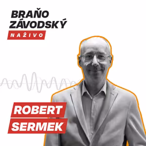 Sermek: Pri tvorbe spoločných európskych zákonov nemôžeme hovoriť o diktáte z Bruselu