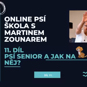 #11 Psí senior a péče o něj
