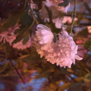 13.12 Túžim v Teba veriť