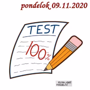 Finančné zdravie 105 - 2020-11-09 Ako sú Slováci finančne gramotní ?