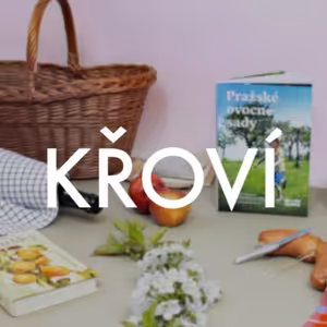 S0E12 - Katka Kubánková z na-ovoce.cz