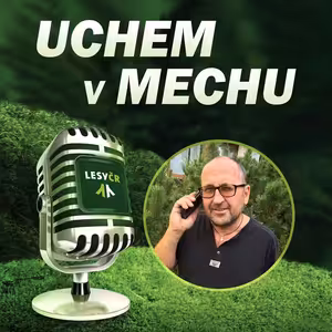 Vedoucí odboru vnějších vztahů Martin Zajíček