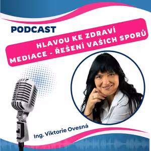 MEDIACE nástroj řešení sporů