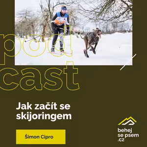 Jak začít se skijoringem | Šimon Cipro