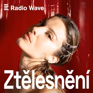 Ztělesnění: Sebeoptimalizace: Tělo jako projekt, na kterém je vždy co zlepšit