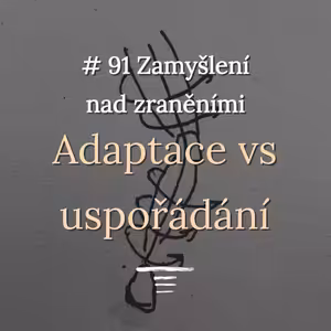 #91 - Prevence zranění?- Adaptace vs uspořádání