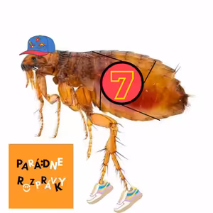 #63 Ako blška preteky vyhrala