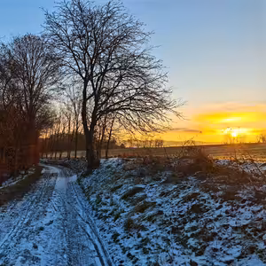 Vesnicopis #56 Z Plánice do Kydlin