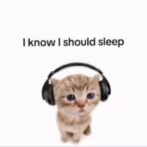 Estewes - I know I should sleep...
