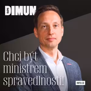 Výroky Bradáčové v případu Parkanové jsou zbytečné a necitlivé, říká místopředseda hnutí STAN Dvořák