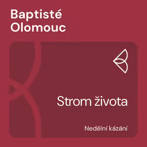 Strom života (17.12.2023)