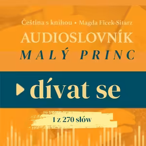 70: Audiosłownik. Dívat se to nie divit se.
