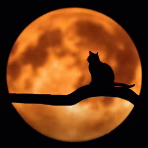 Zvedavosť / Creepypasta SK